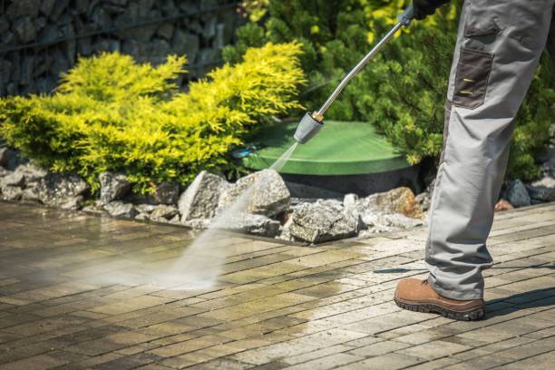 Best Fence Cleaning and Maintenance in Brackettville, TX
